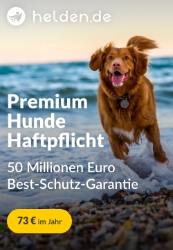 2023 Hundehaftpflicht Bannerset 250 360