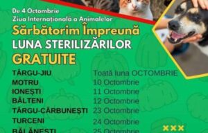 Flyer Kastrationskampagnen All4Animals Flyer Kastrationskampagnen All4Animals