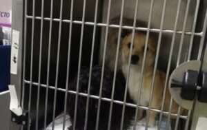 März 24 März 24