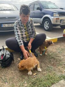 Paws Care Vet (1)