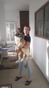 Paws Care Vet (3)