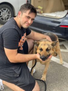 Paws Care Vet (5)