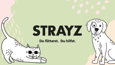 STRAYZ 2 400x225 1